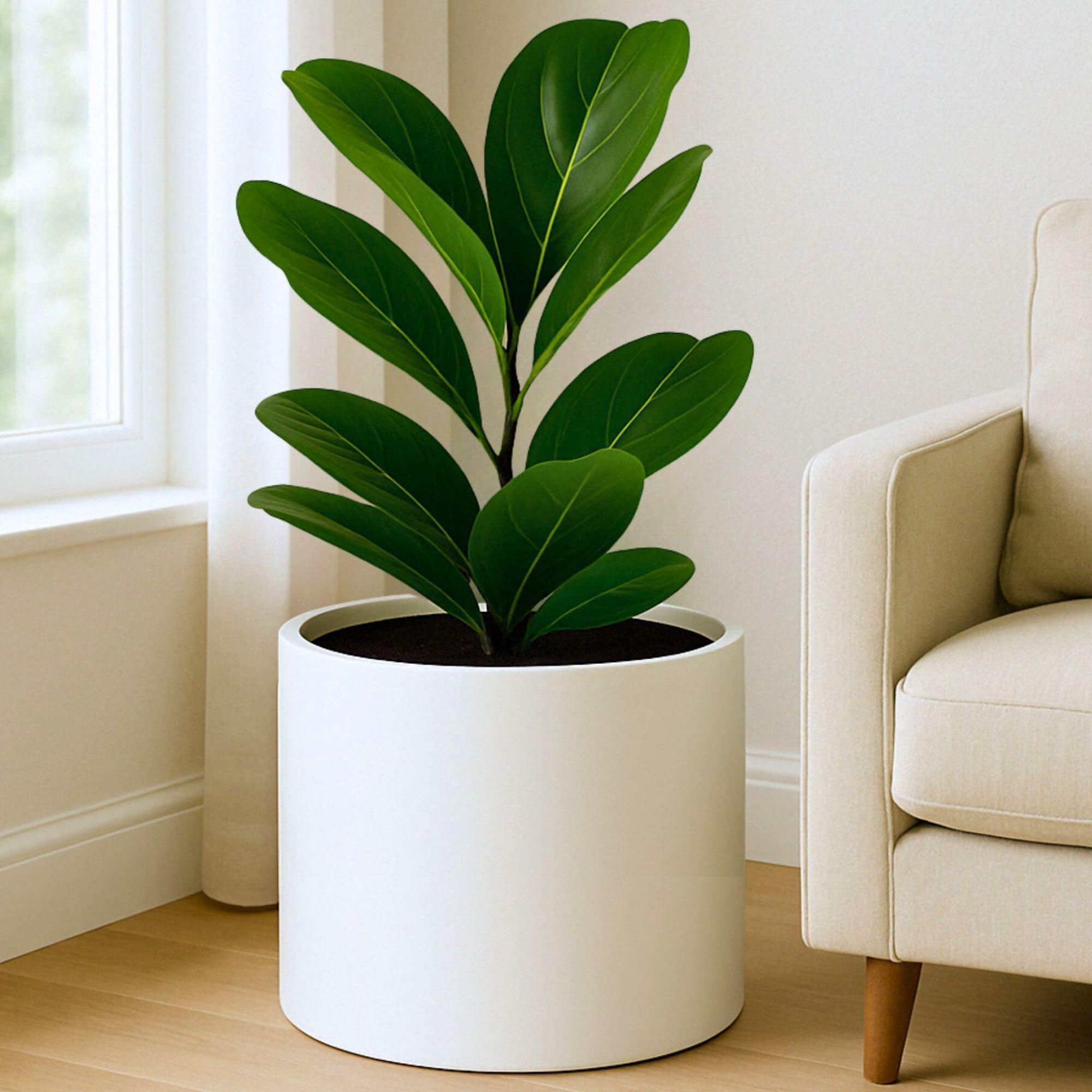 Fox & Fern side profile with fiddle leaf fig illustrating fit and plant support
