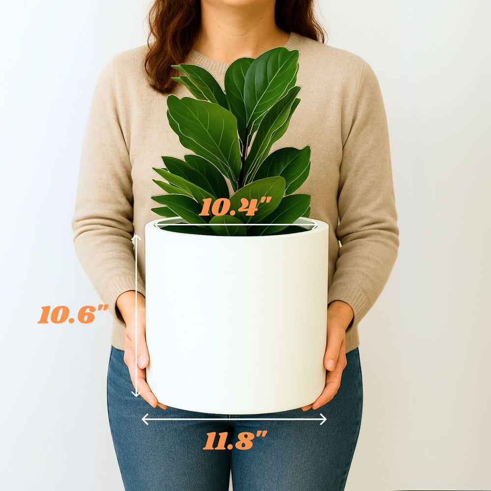 Fox & Fern planter next to water bottle showing scale and easy maneuverability for one person