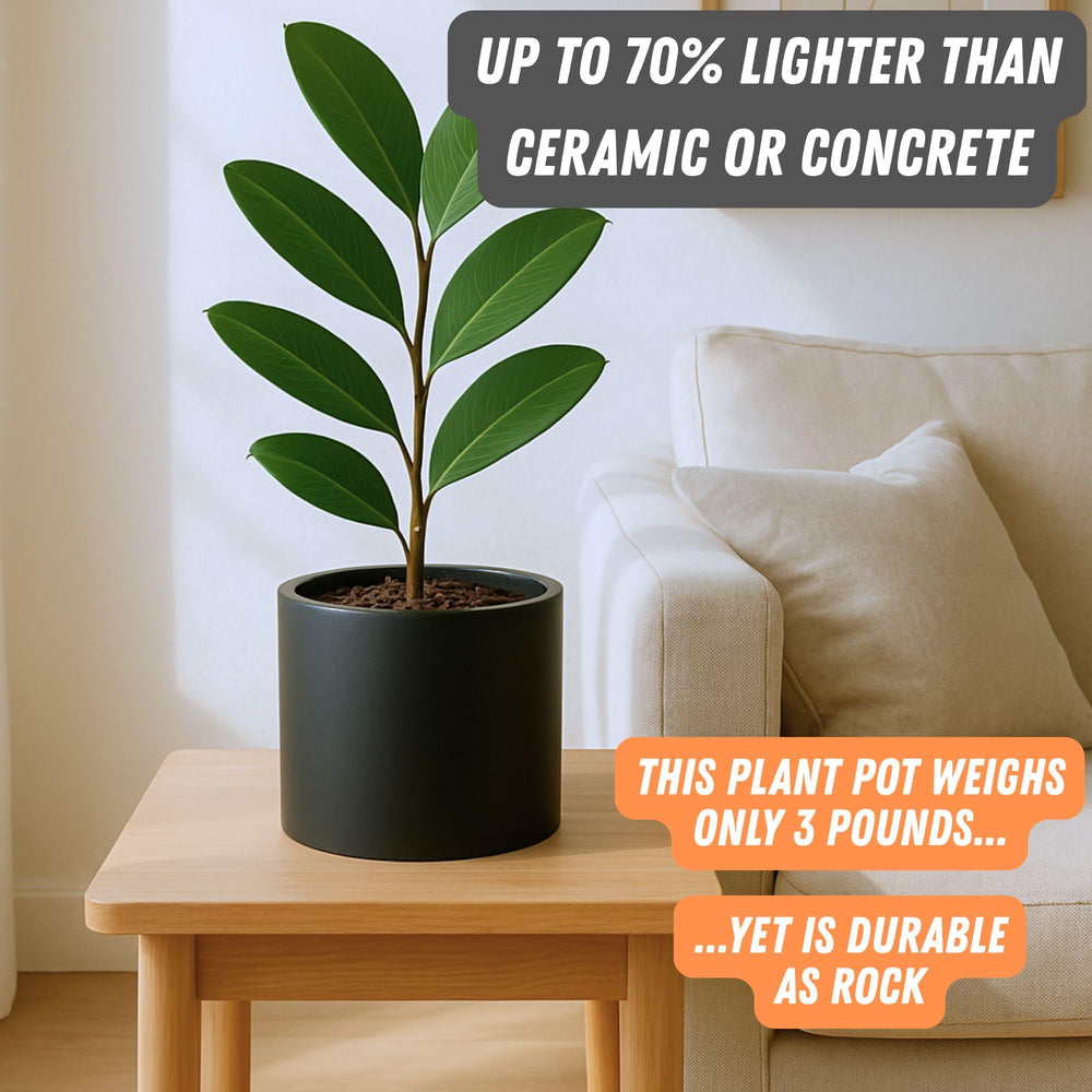 Fox & Fern planter with fiddle leaf fig in living room for stylish plant display