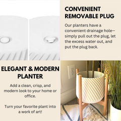 Fox & Fern planter with fiddle leaf fig styled in living room for statement plant