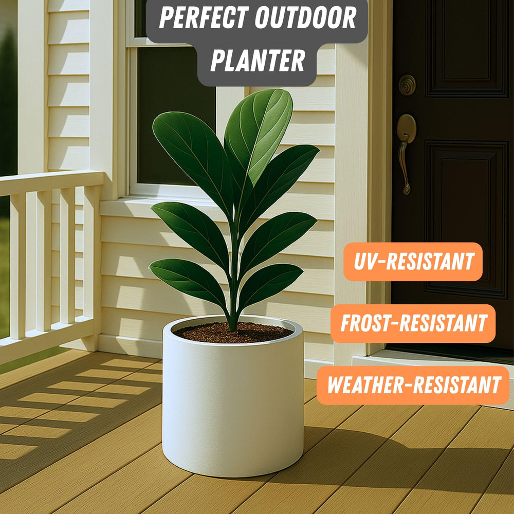 Fox & Fern planter styled with fiddle leaf fig demonstrating scale and decorative impact
