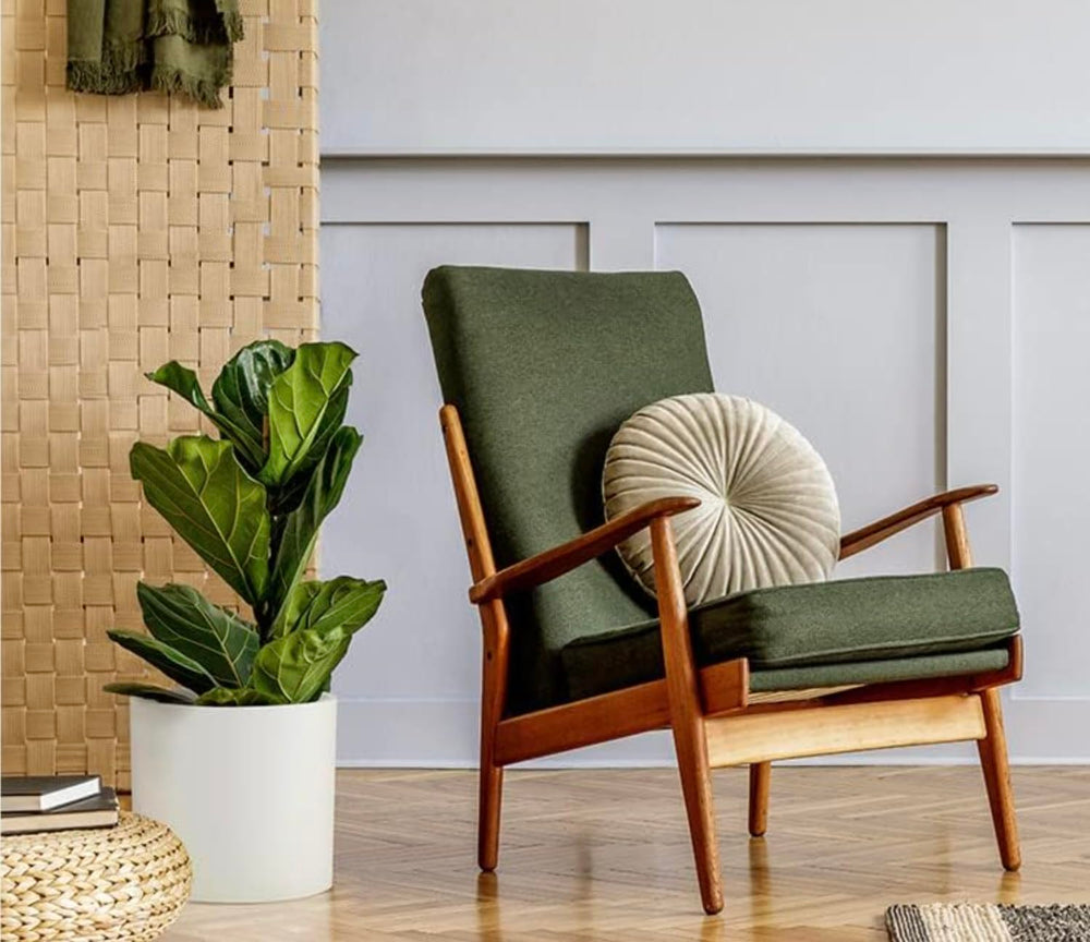 Fox & Fern planter holding a fiddle leaf fig to show plant compatibility