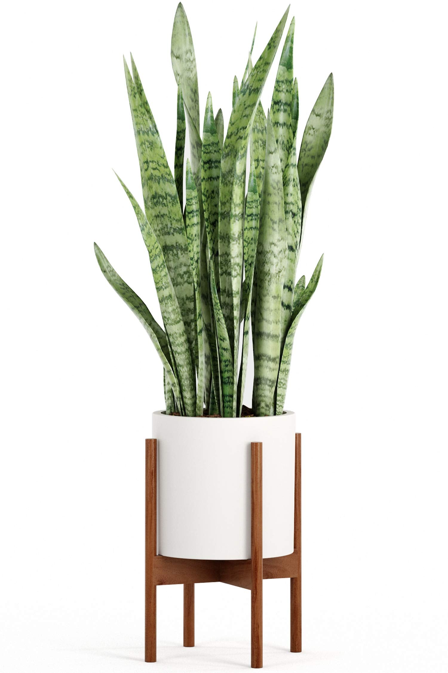 Fox & Fern holding a heavy stone planter demonstrating 175 lb load capacity benefit