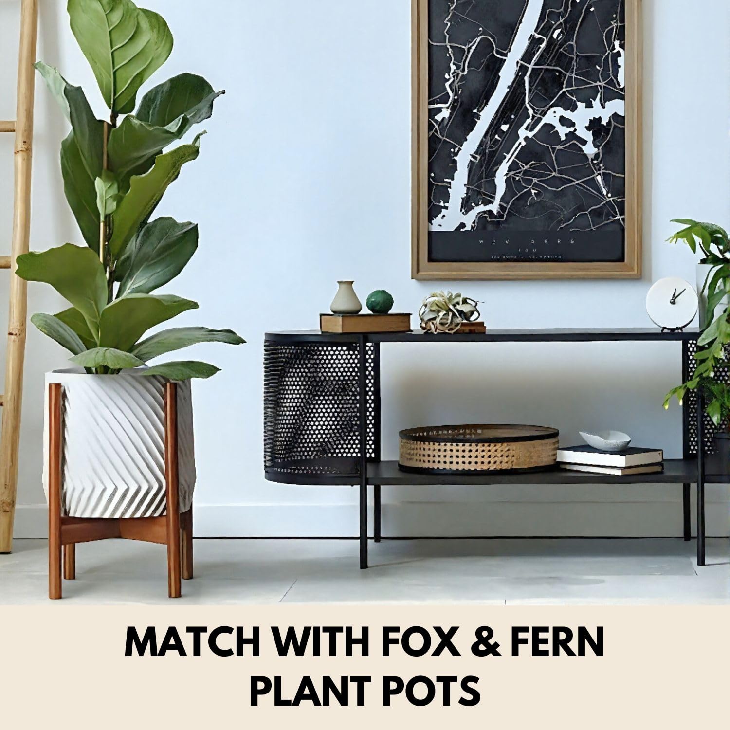 Fox & Fern stand next to ruler to show adjustable 11–15 inch diameter and scale