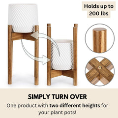 Fox & Fern stand side profile showing height and stability for heavier pots