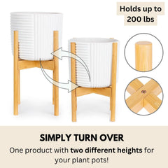 Fox & Fern inverted stand height option demonstrates flexible display