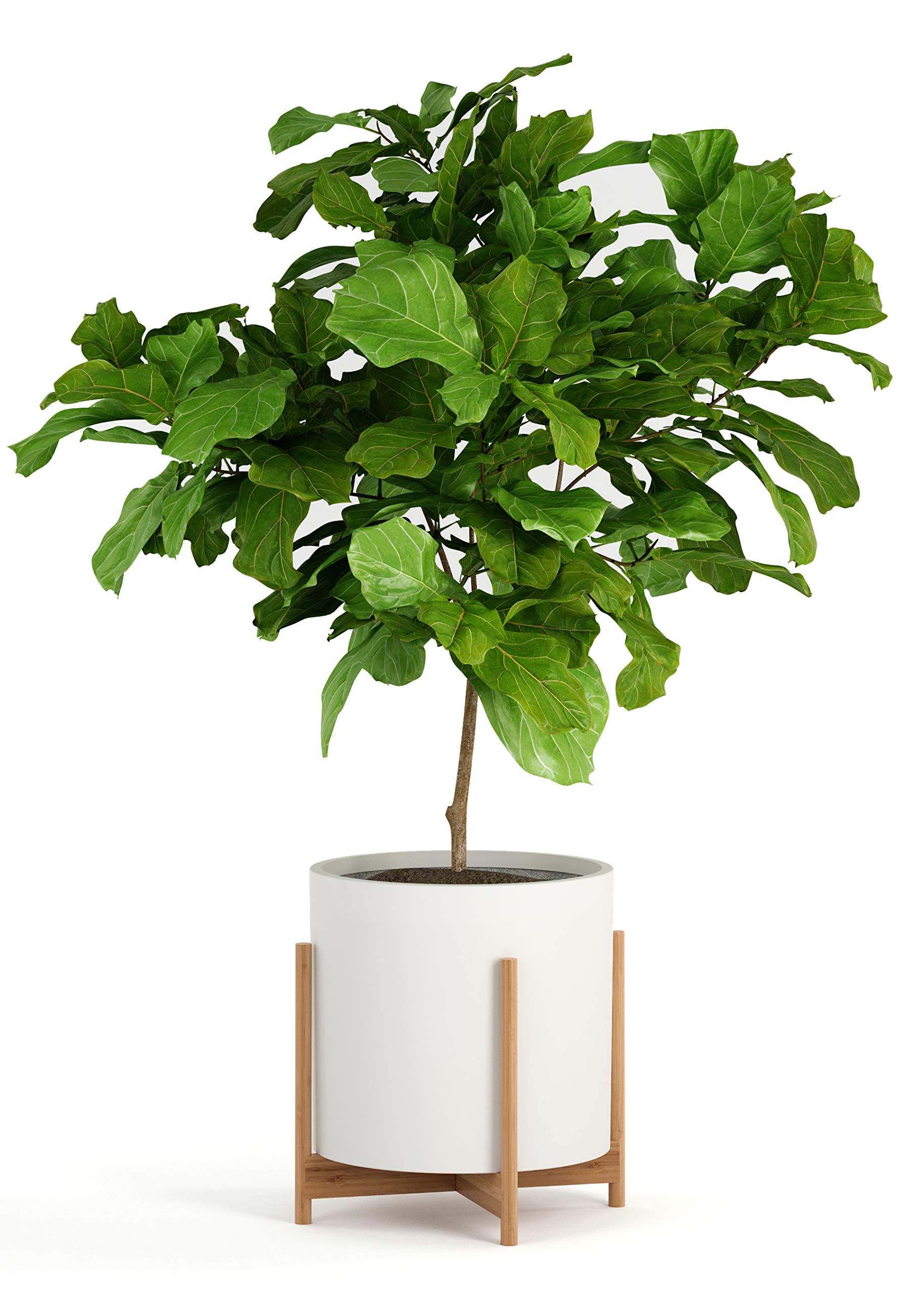 Fox & Fern stand under heavy pot proving strength and high load capacity