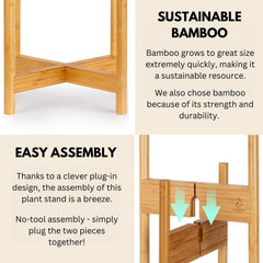 Fox & Fern plant stand holding a planter in a modern room showing style and support