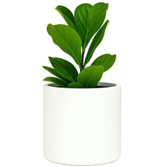 Fox & Fern planter front view showing matte white finish and modern shape for stylish interiors