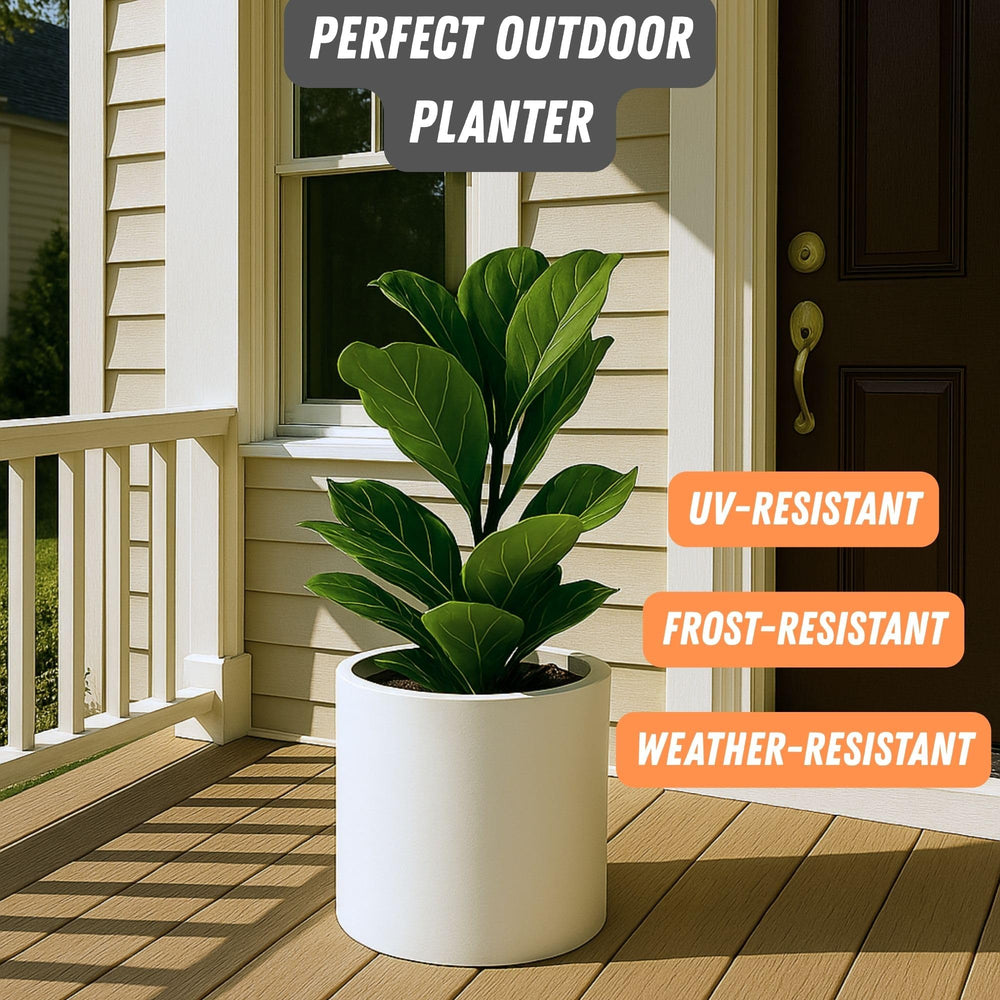Fox & Fern planter displayed on an Acacia stand demonstrating compatibility and elevated styling