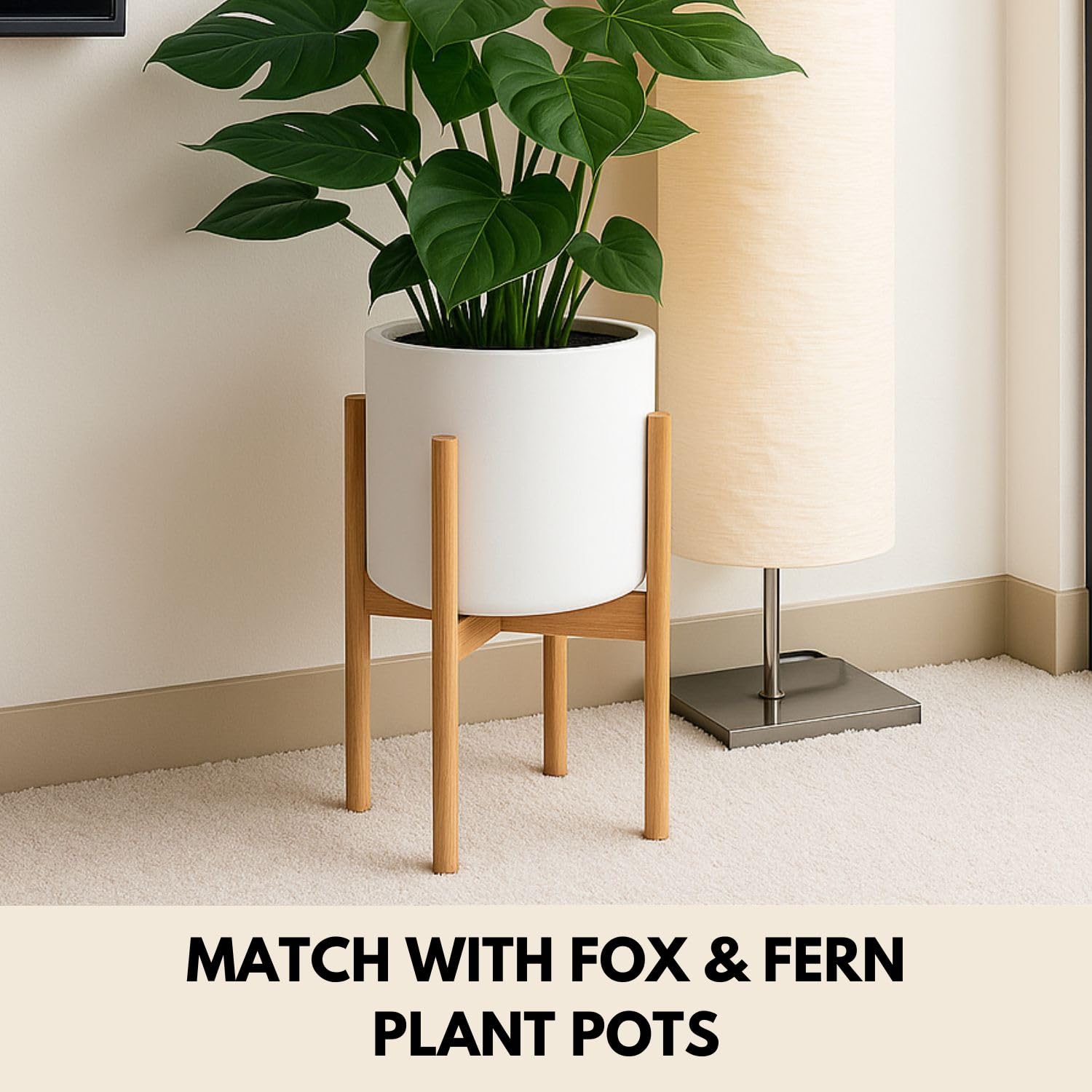 Fox & Fern stand holding 12-inch snake plant elevates room greenery