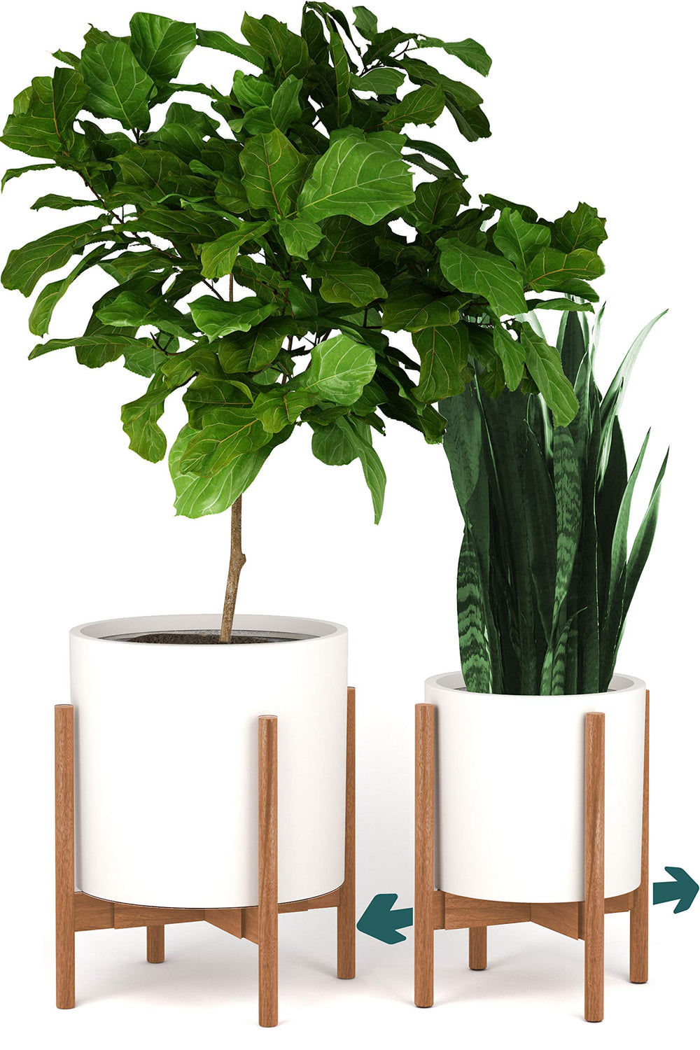 Fox & Fern stand paired with Fiberstone matte white pot for cohesive look