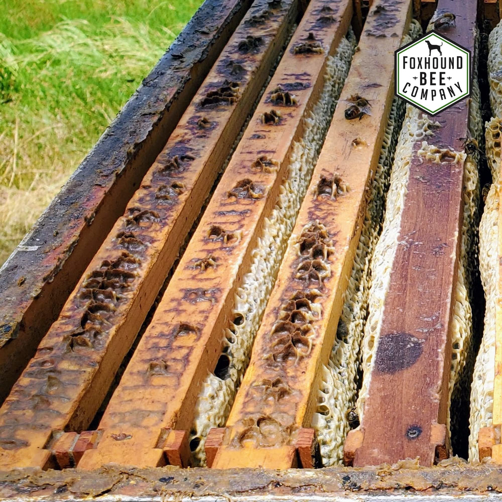 Foxhound Bee Company board in apiary lifestyle setting showing practical, field-ready benefit