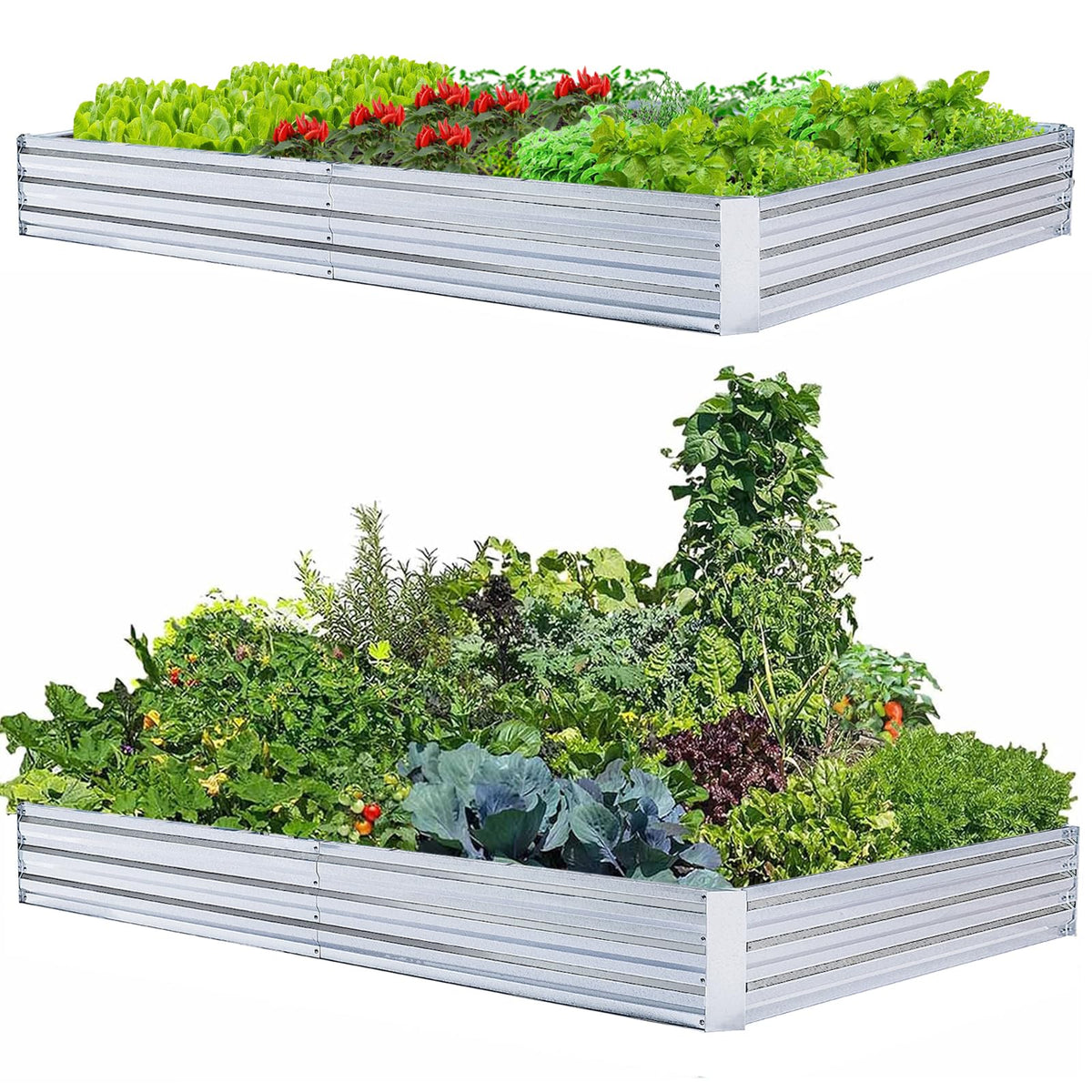 FOYUEE pack frontal mostrando dos camas elevadas y espacio para cultivo