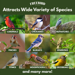 FREEBIRD backyard scene with multiple feeders illustrating low-waste outdoor feeding
