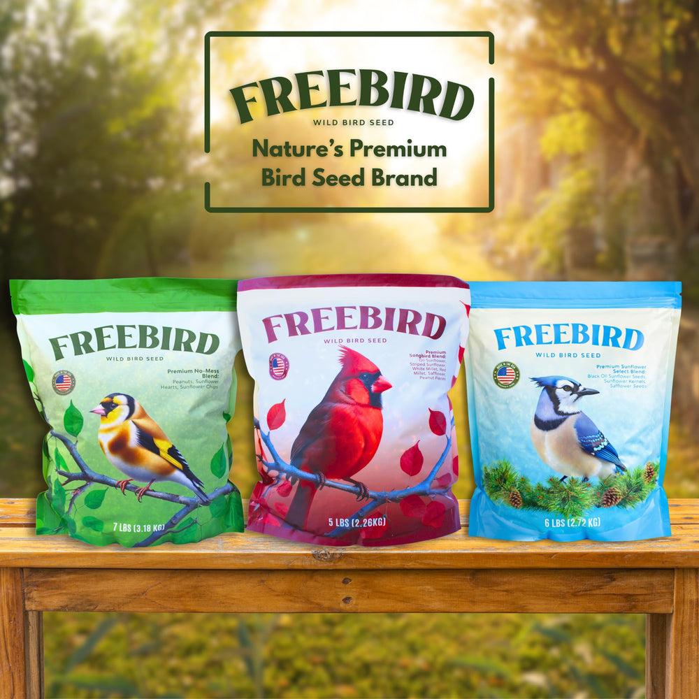 FREEBIRD clean patio surface with no shells showing tidy, pest-reducing results