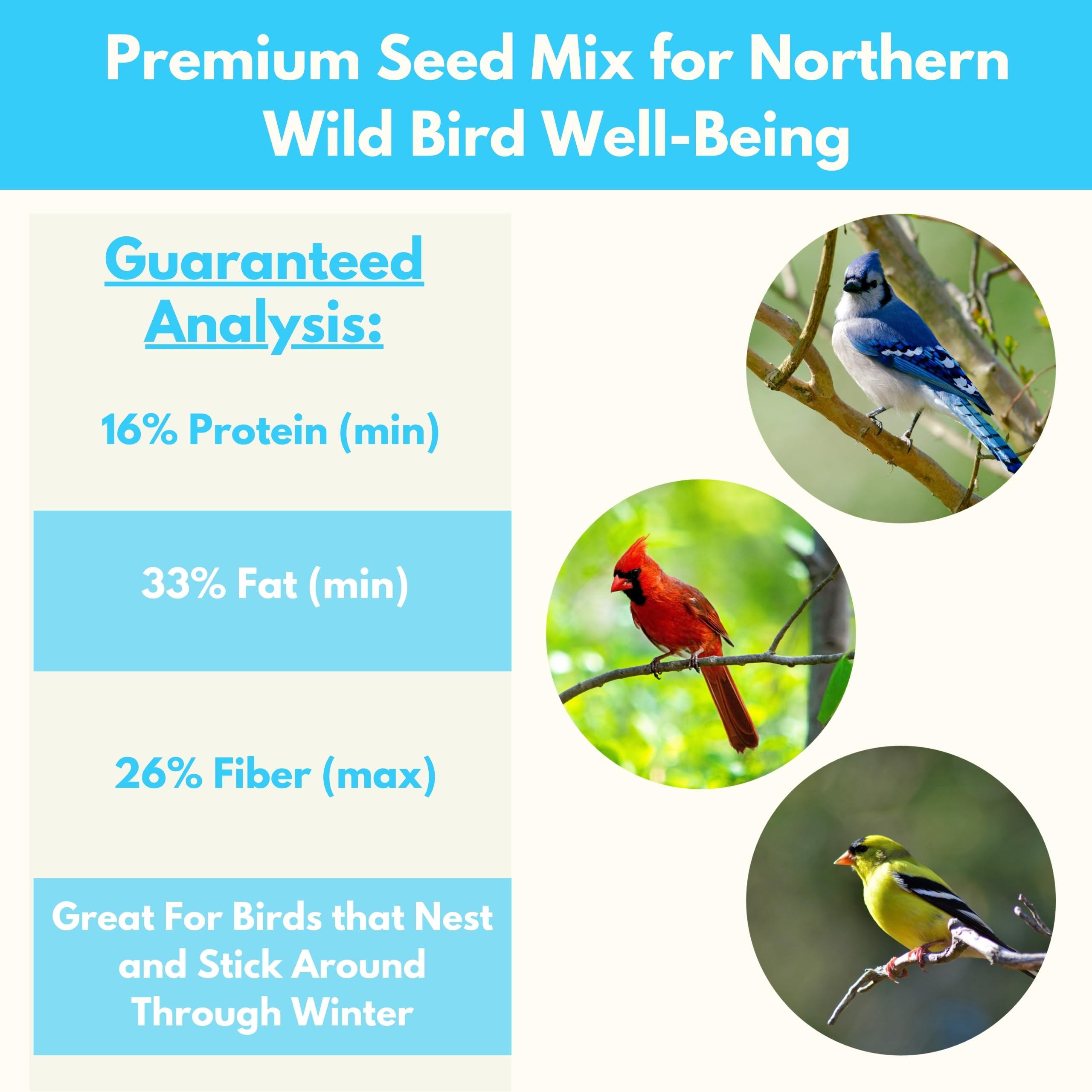 FREEBIRD feeder in garden setting illustrating natural backyard wildlife attraction