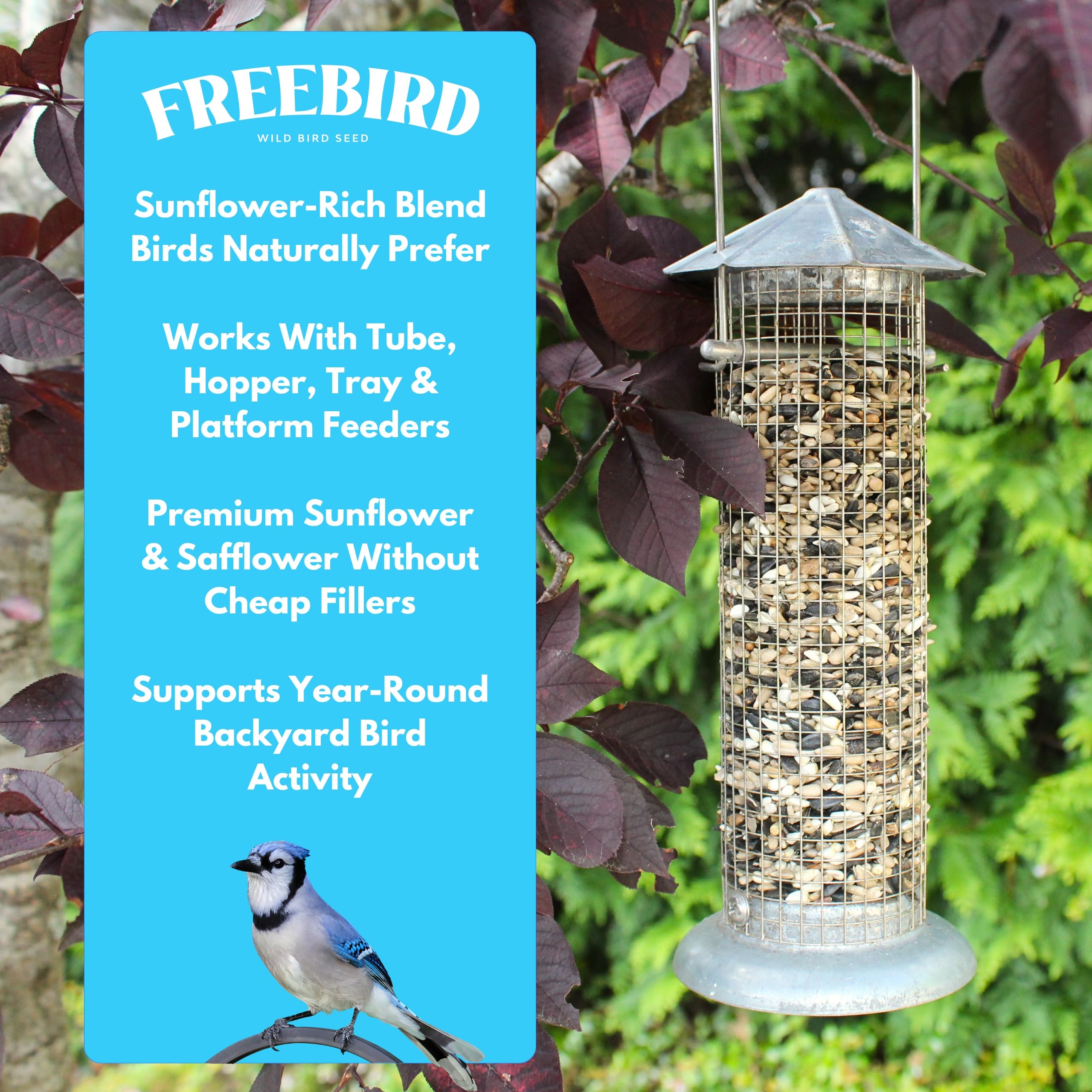 FREEBIRD seed poured into a hopper feeder demonstrating ease of use and access