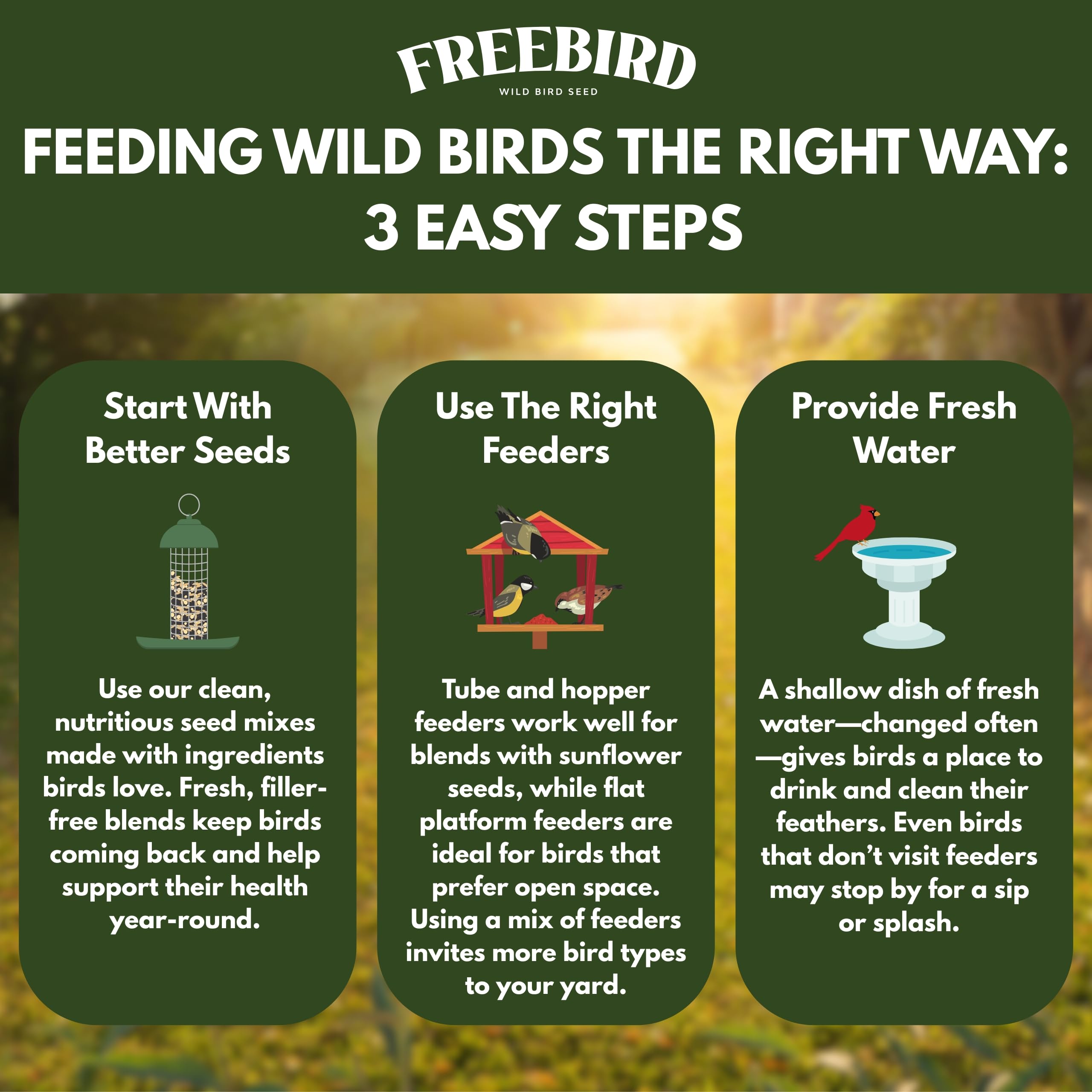 FREEBIRD detailed shot of sunflower hearts emphasizing bird-friendly ingredients