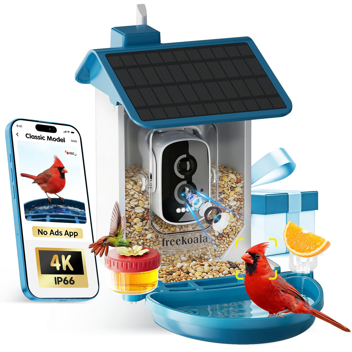 FreeKoala front view of blue feeder showing camera and tray, clear bird visibility