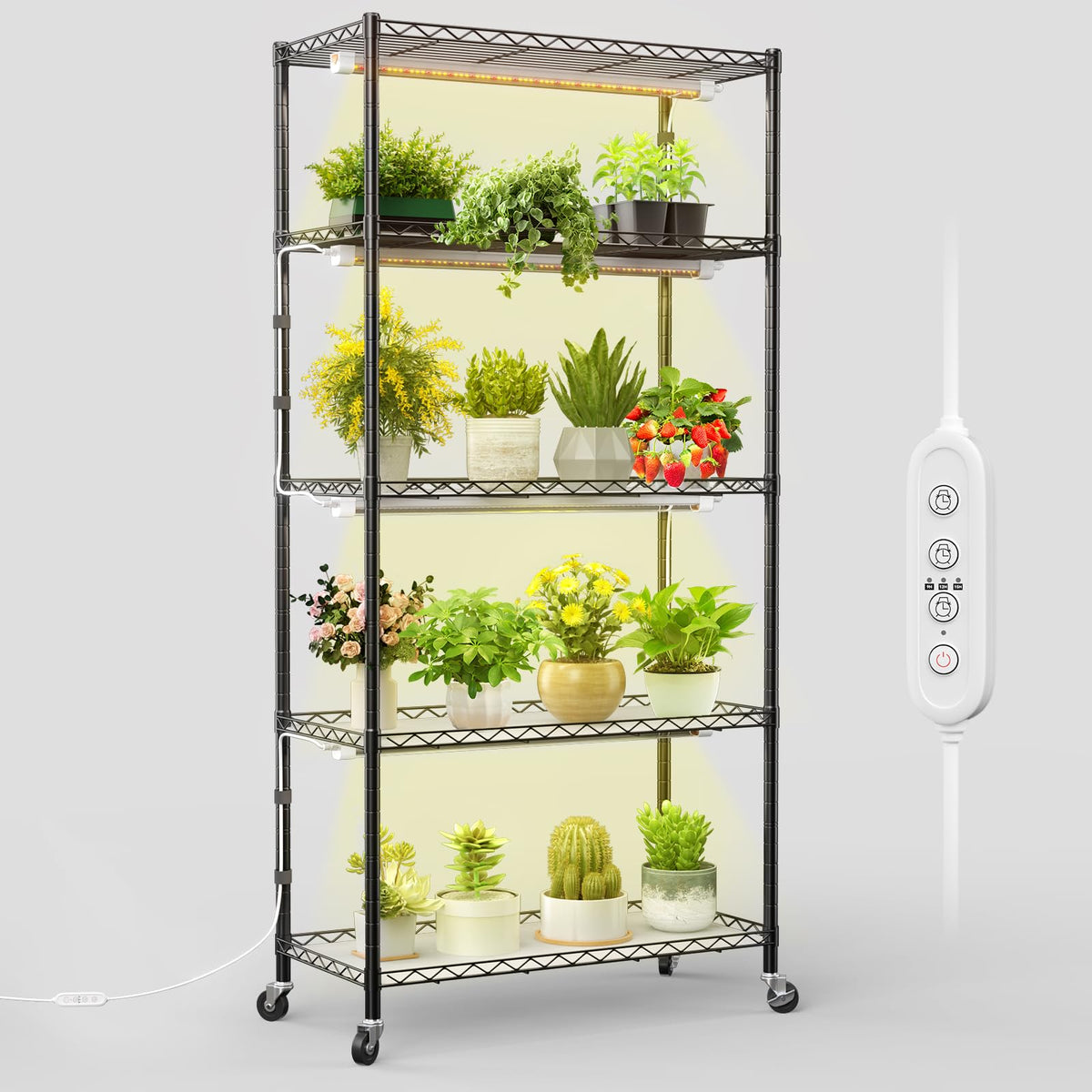 FREELICHT front view fully stocked showing organization and healthy plants