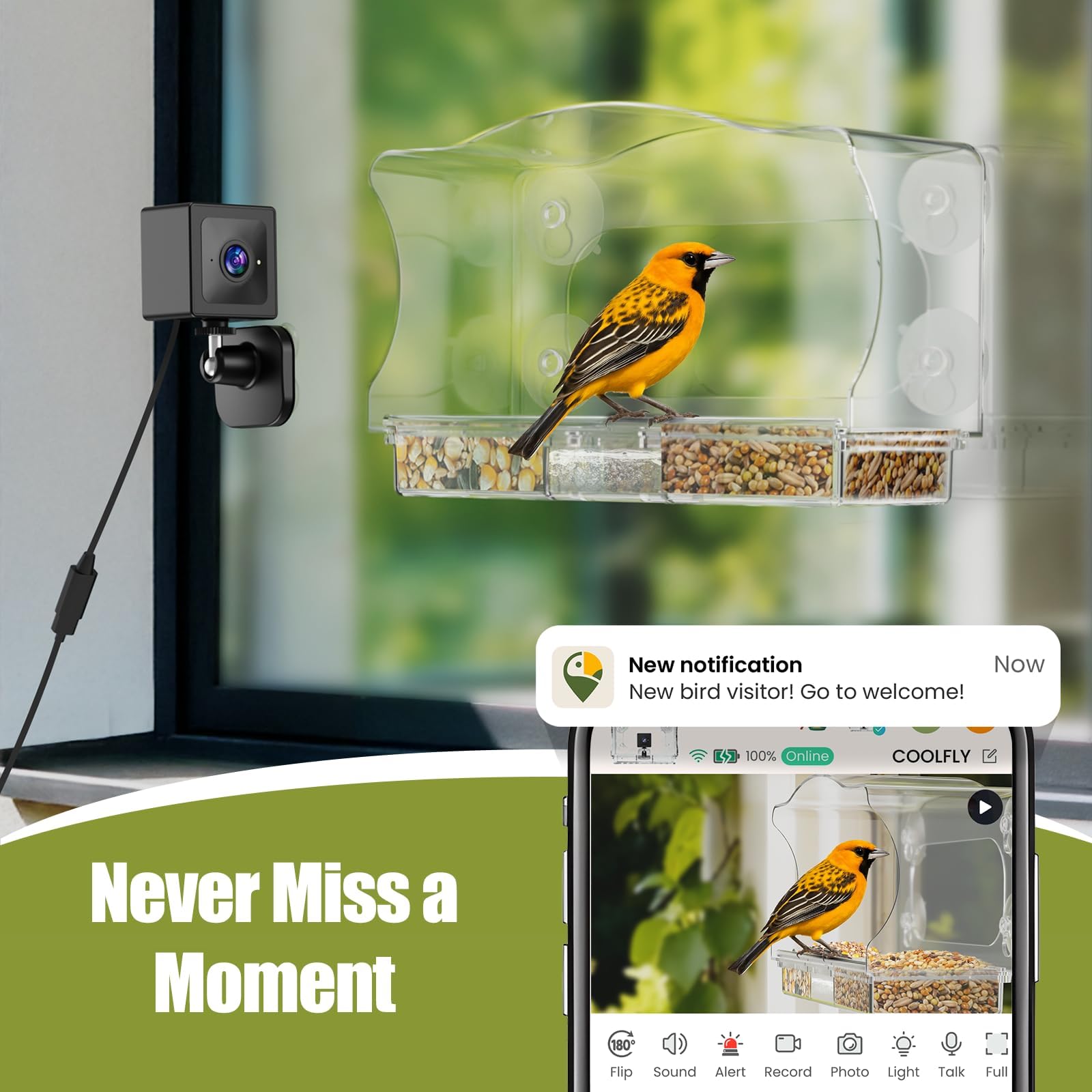 freeseason app screenshot with AI identification providing fast species info