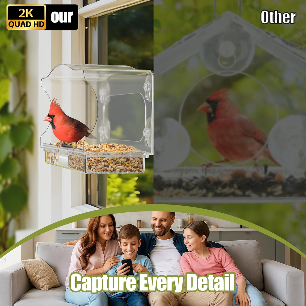 freeseason feeder in use with cardinal on tray demonstrating sharp 2K capture