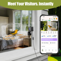 freeseason suction cups window mount detail showing secure no-drill attachment