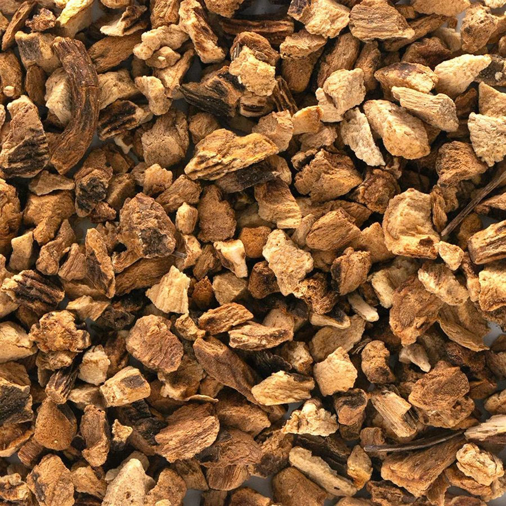 Frontier Co-op gentian root brewed tea in cup lifestyle image shows bitter flavor benefit