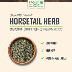 Frontier Co-op close-up of horsetail texture showing natural silica grit