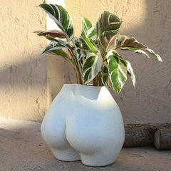 FROZZUR front view of oval female torso planter showing modern boho look