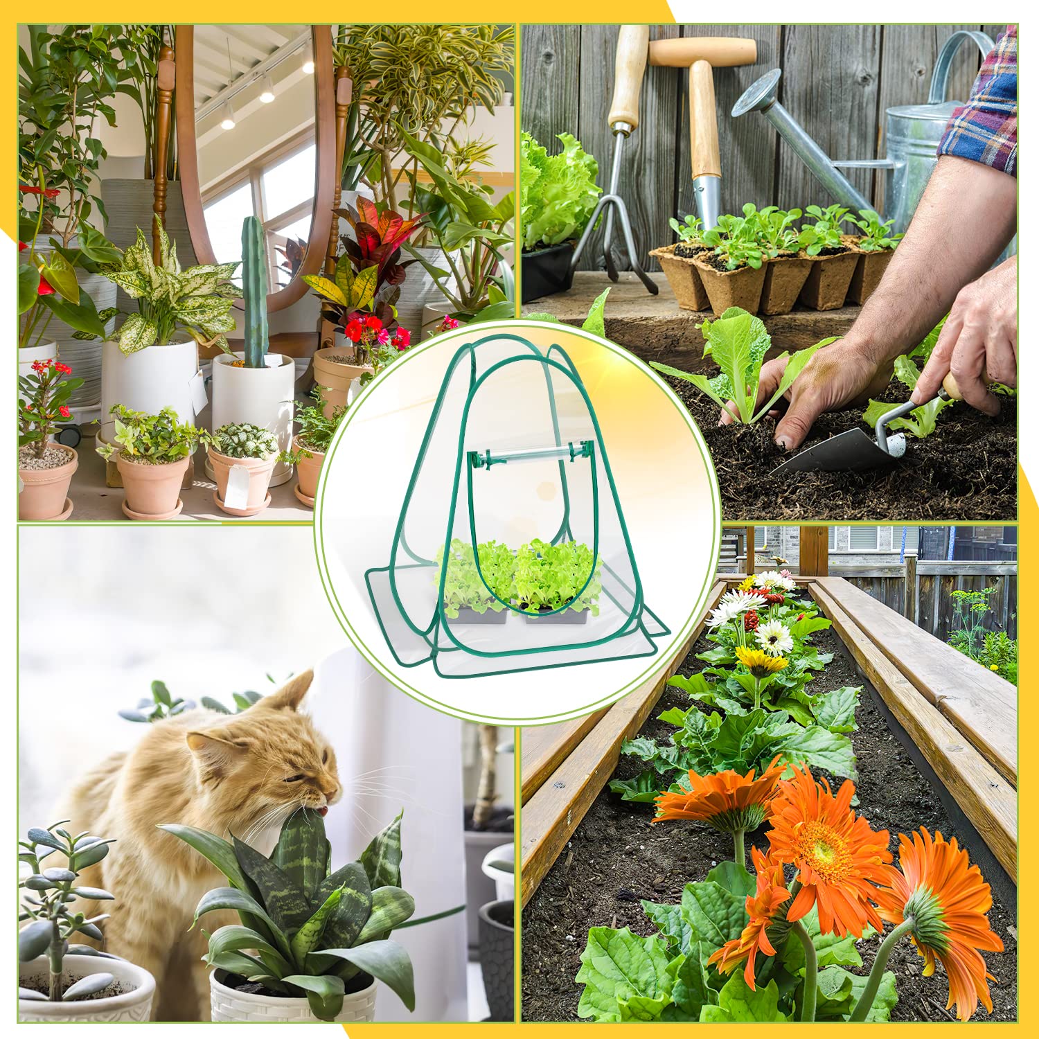 Fuairmee folded greenhouse in round handbag for compact transport