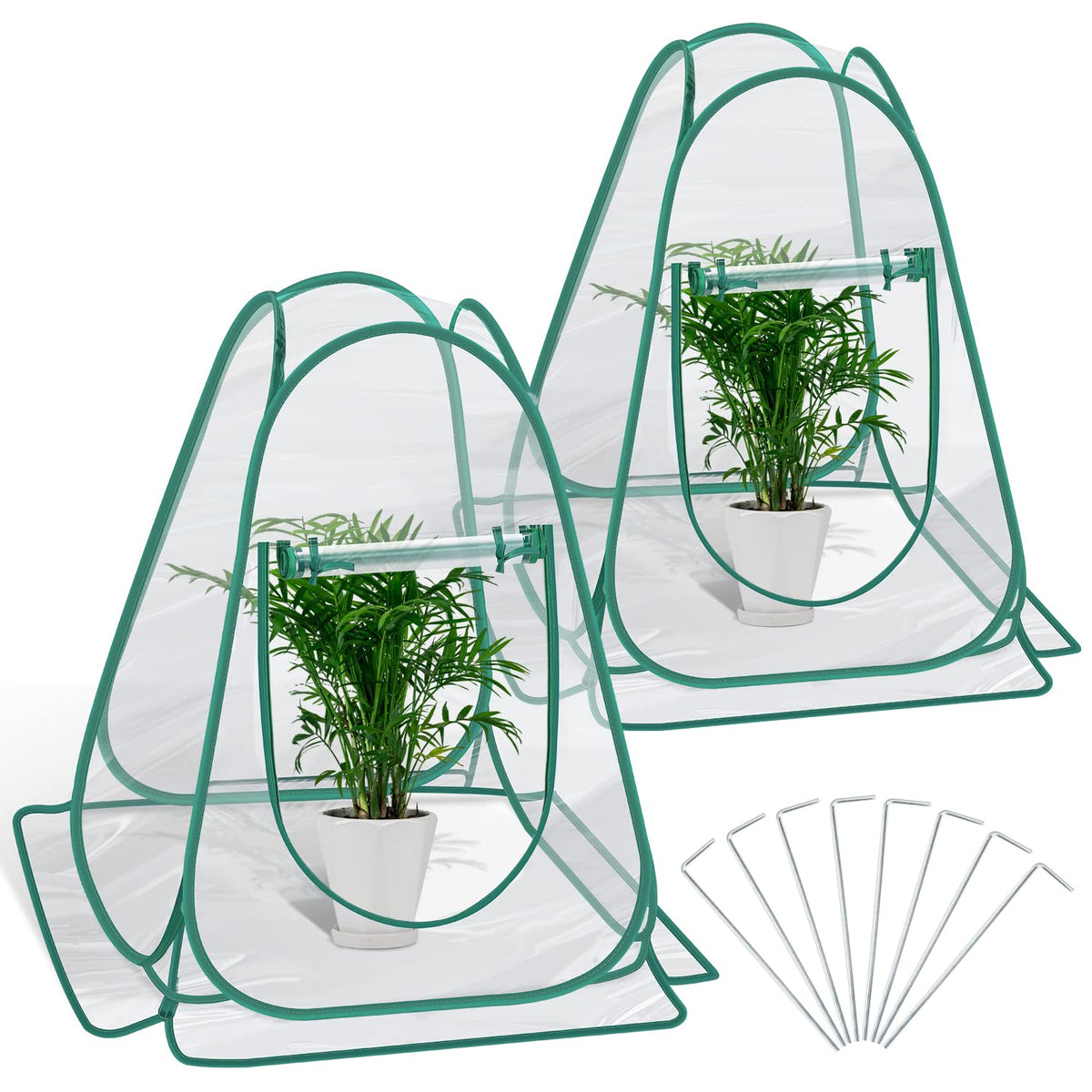 Fuairmee front view of two pop up greenhouses showing quick protection