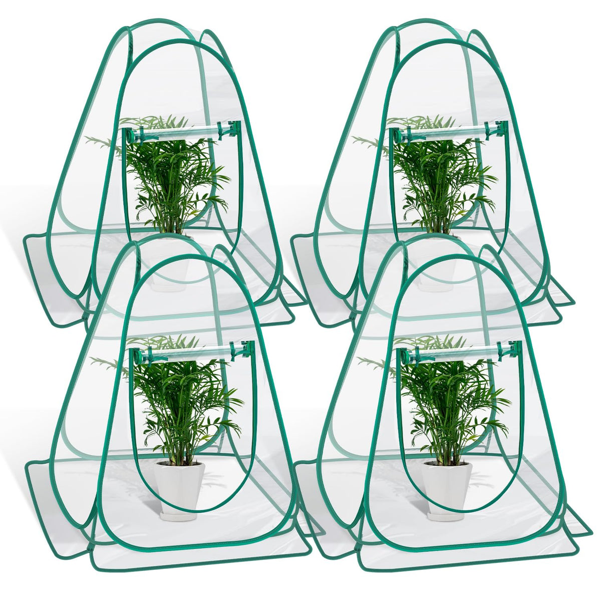 Fuairmee front view of four pop up greenhouses showing coverage and clarity