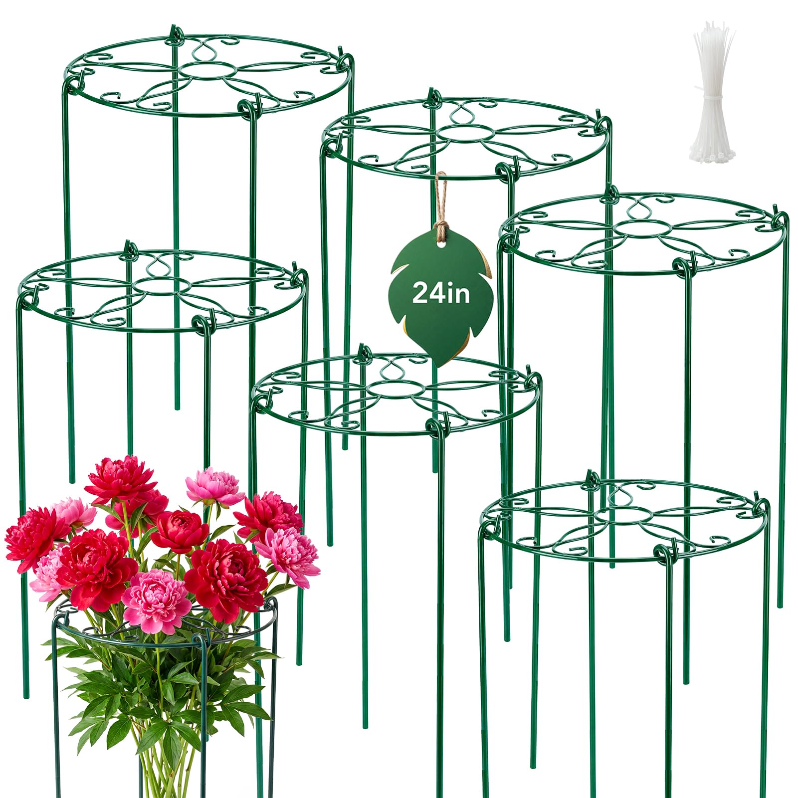 FuBegi front view of six packaged peony cages showing value