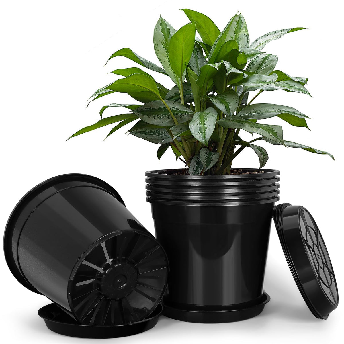 FUIJOL front view of six pots showing neat set and portability benefit