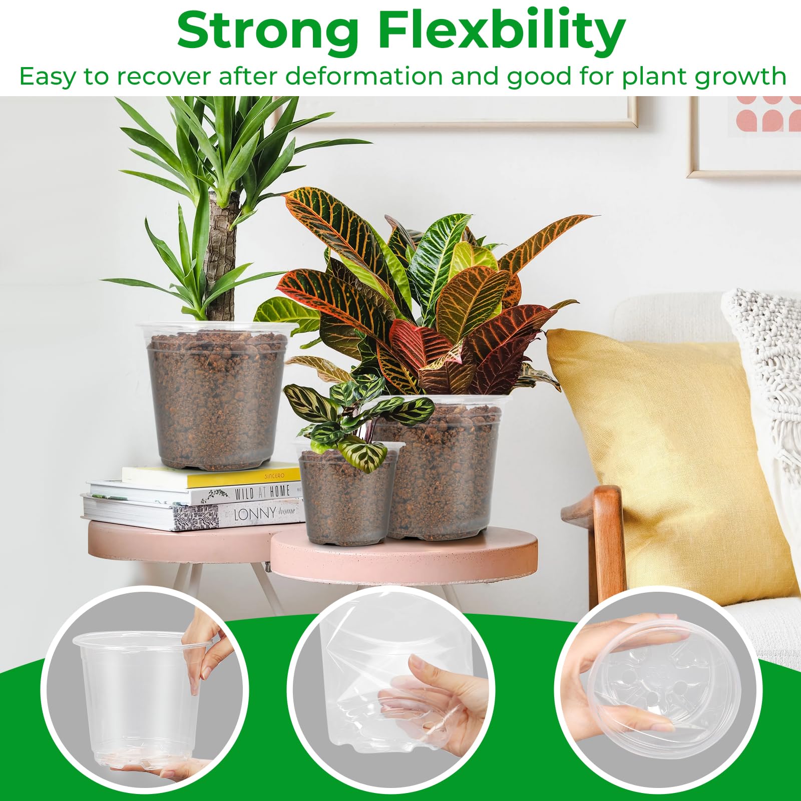FUIJOL clear pot revealing roots to aid monitoring and repotting