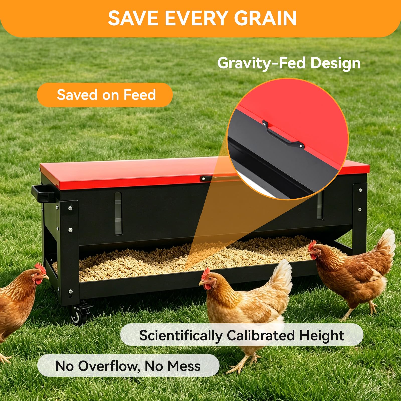 FULUPET in coop lifestyle photo showing tidy feeding area and flock access