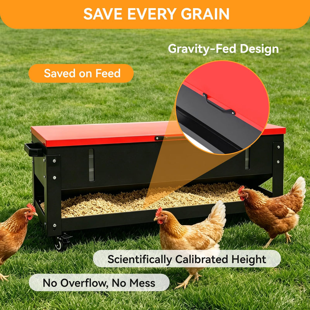 FULUPET in coop lifestyle photo showing tidy feeding area and flock access