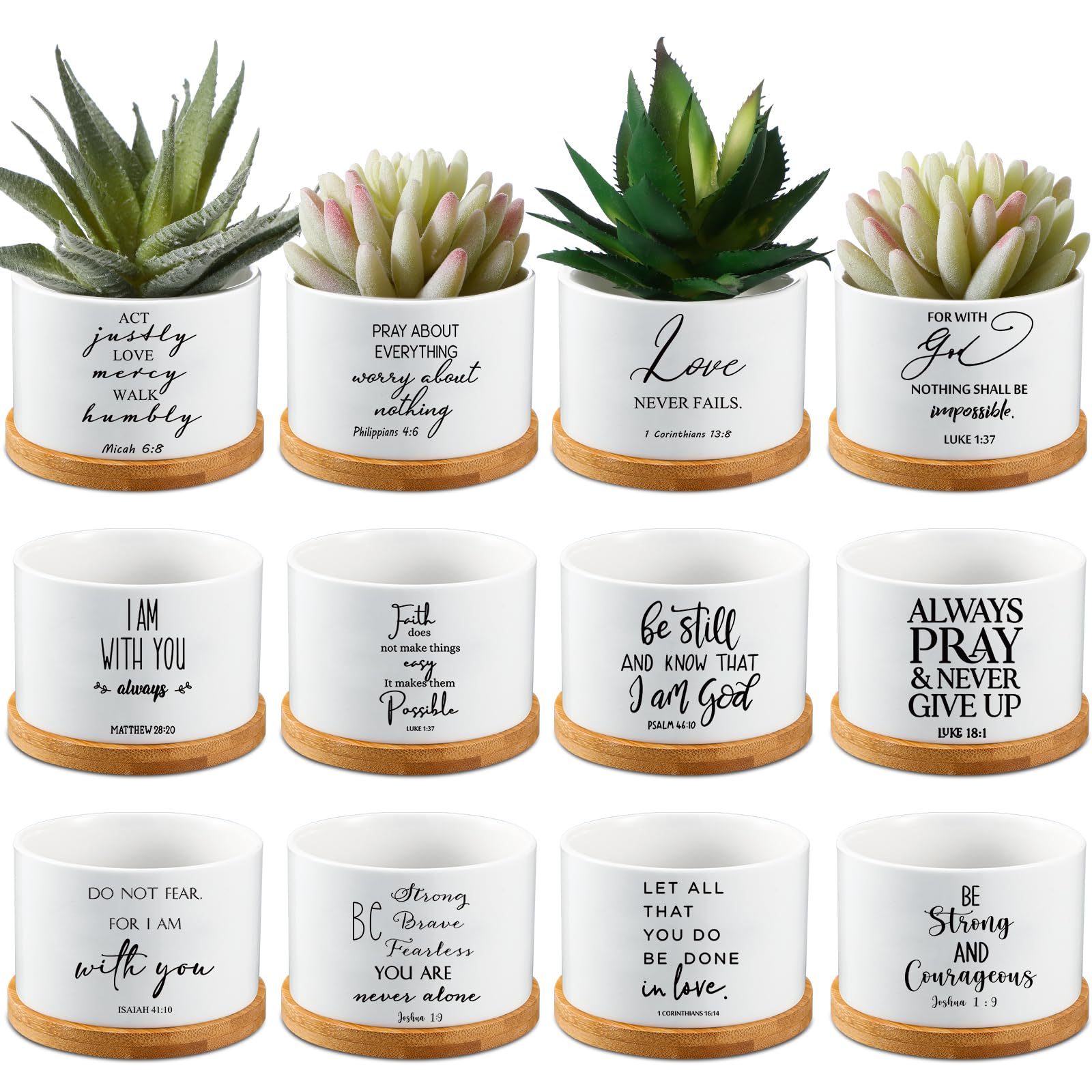 Fumete front view of 24-pack pots showing scripture and tray, ideal gift