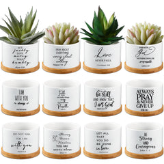 Fumete front view of 24-pack pots showing scripture and tray, ideal gift
