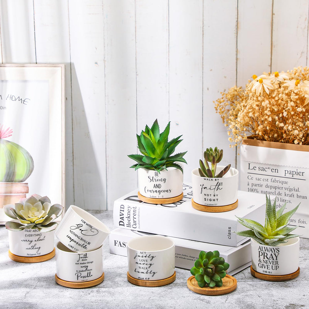 Fumete planter with succulent on windowsill, adds faith-based decor