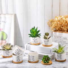 Fumete planter with succulent on windowsill, adds faith-based decor