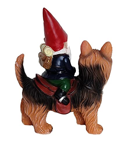 Funny Guy Mugs gnome and Yorkie displayed in garden adding charm to outdoor space