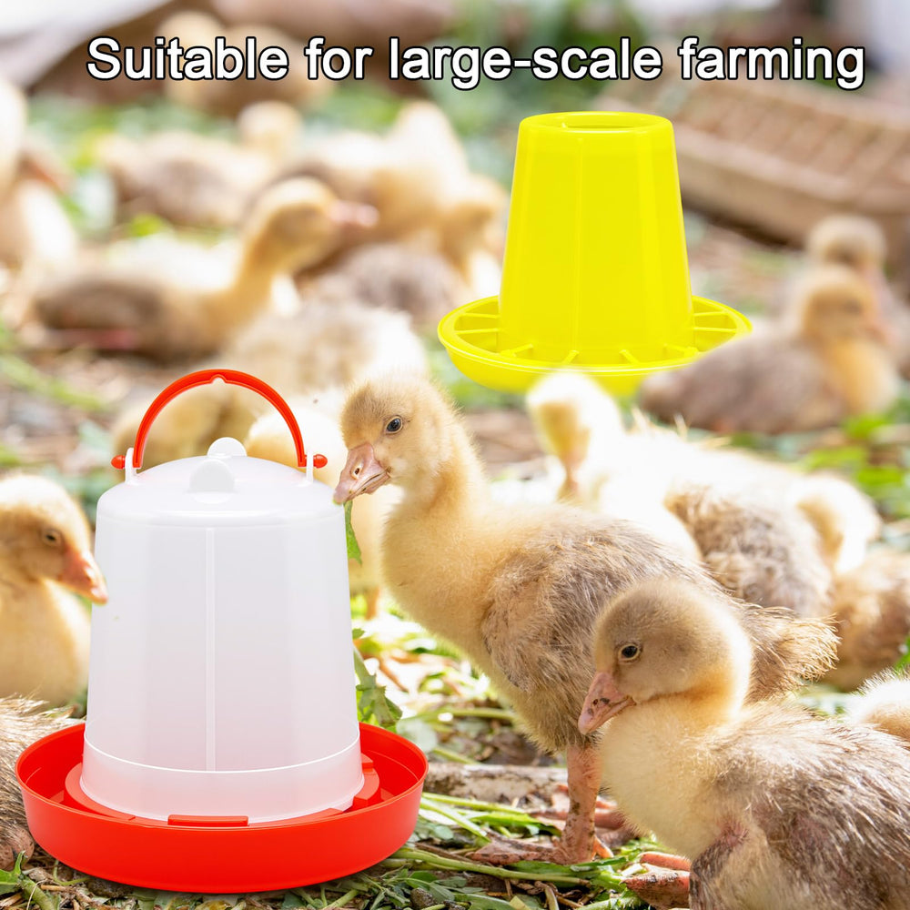 Funnymoom coop setup with multiple trays for streamlined feeding