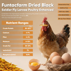 Funtacfarm dried larvae close-up showing crunchy texture and high-protein benefit