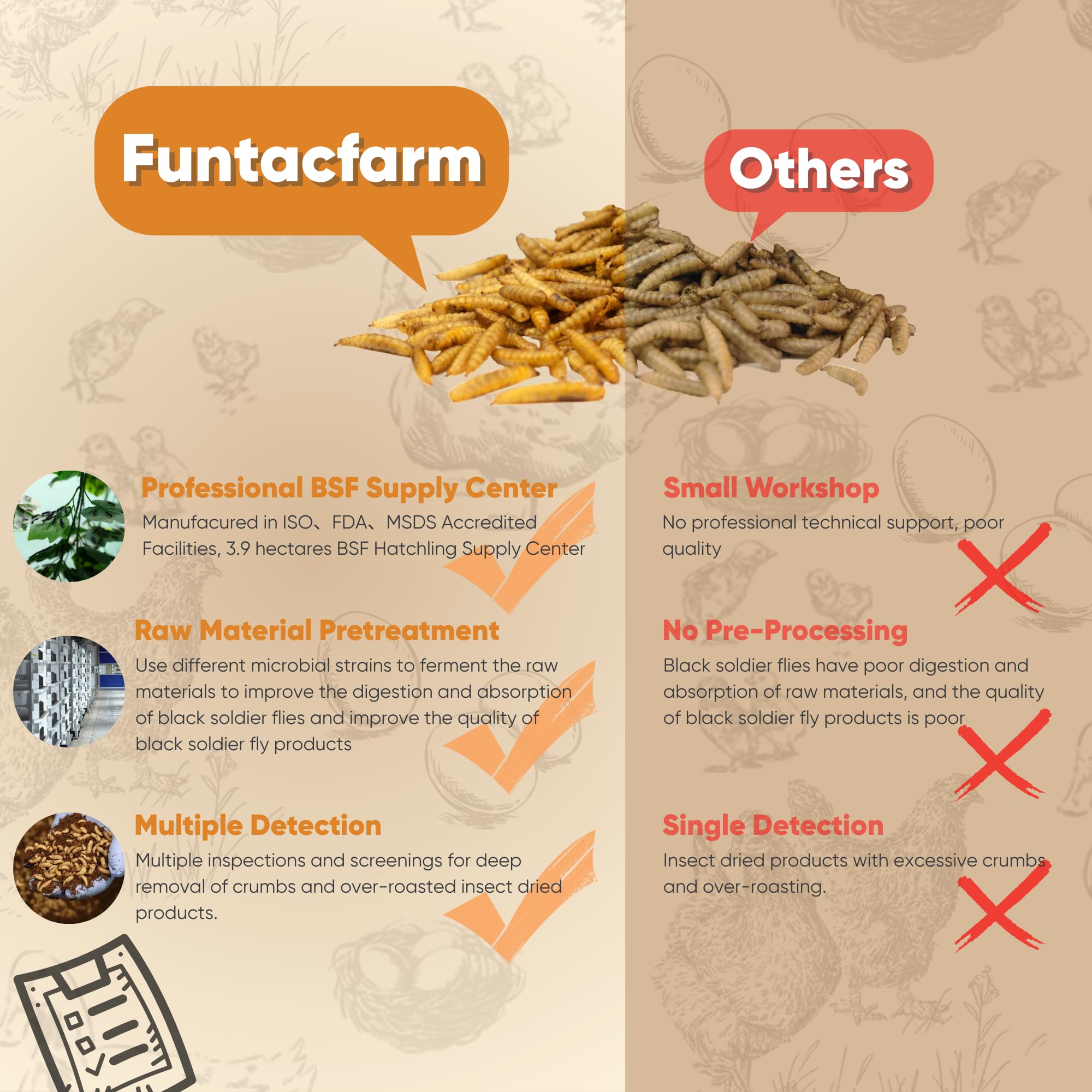 Funtacfarm hands feeding chickens with larvae for taming and treat reward benefit