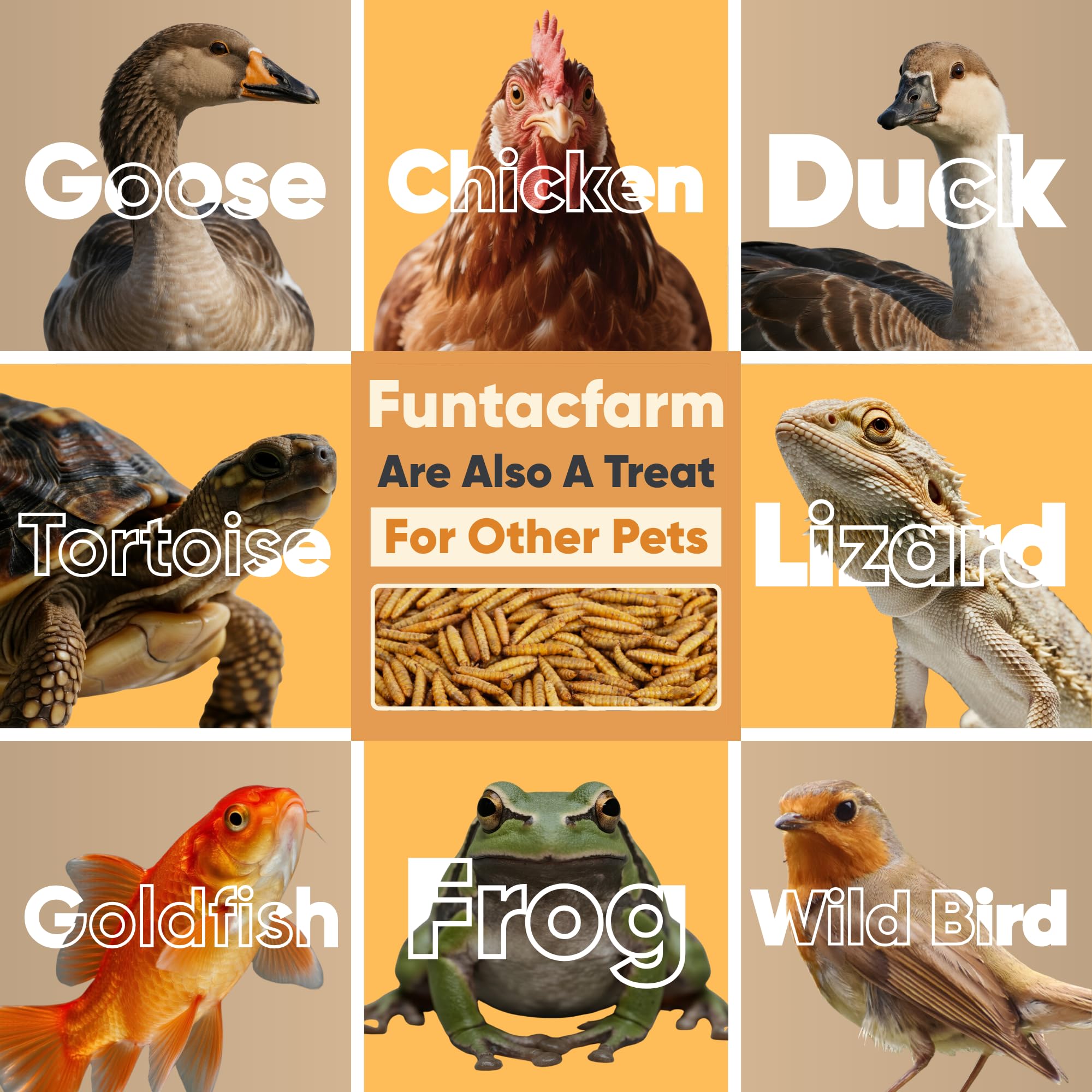 Funtacfarm larvae scattered in bird feeder attracting birds for enrichment benefit