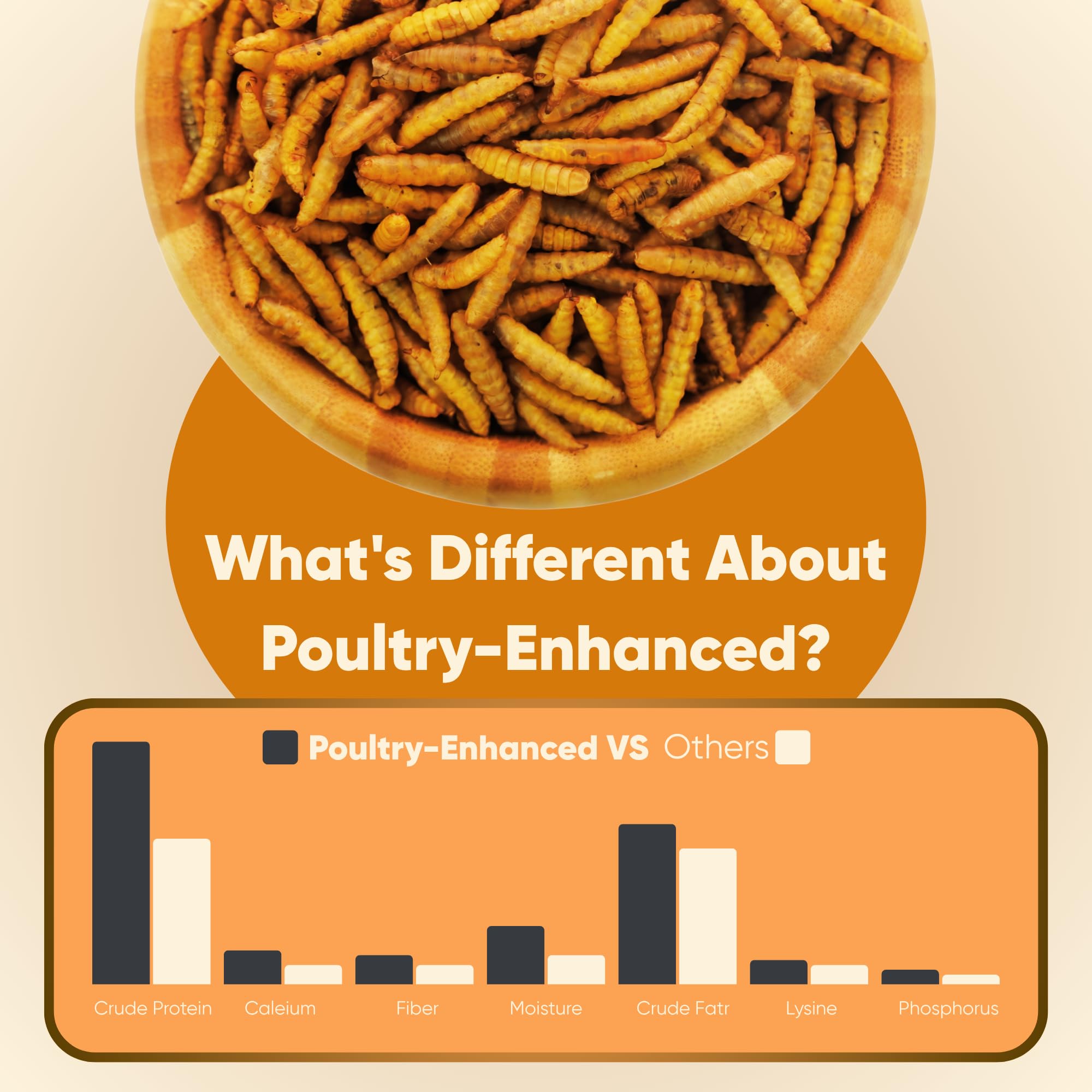 Funtacfarm larvae next to scale to show 10LB quantity and value benefit