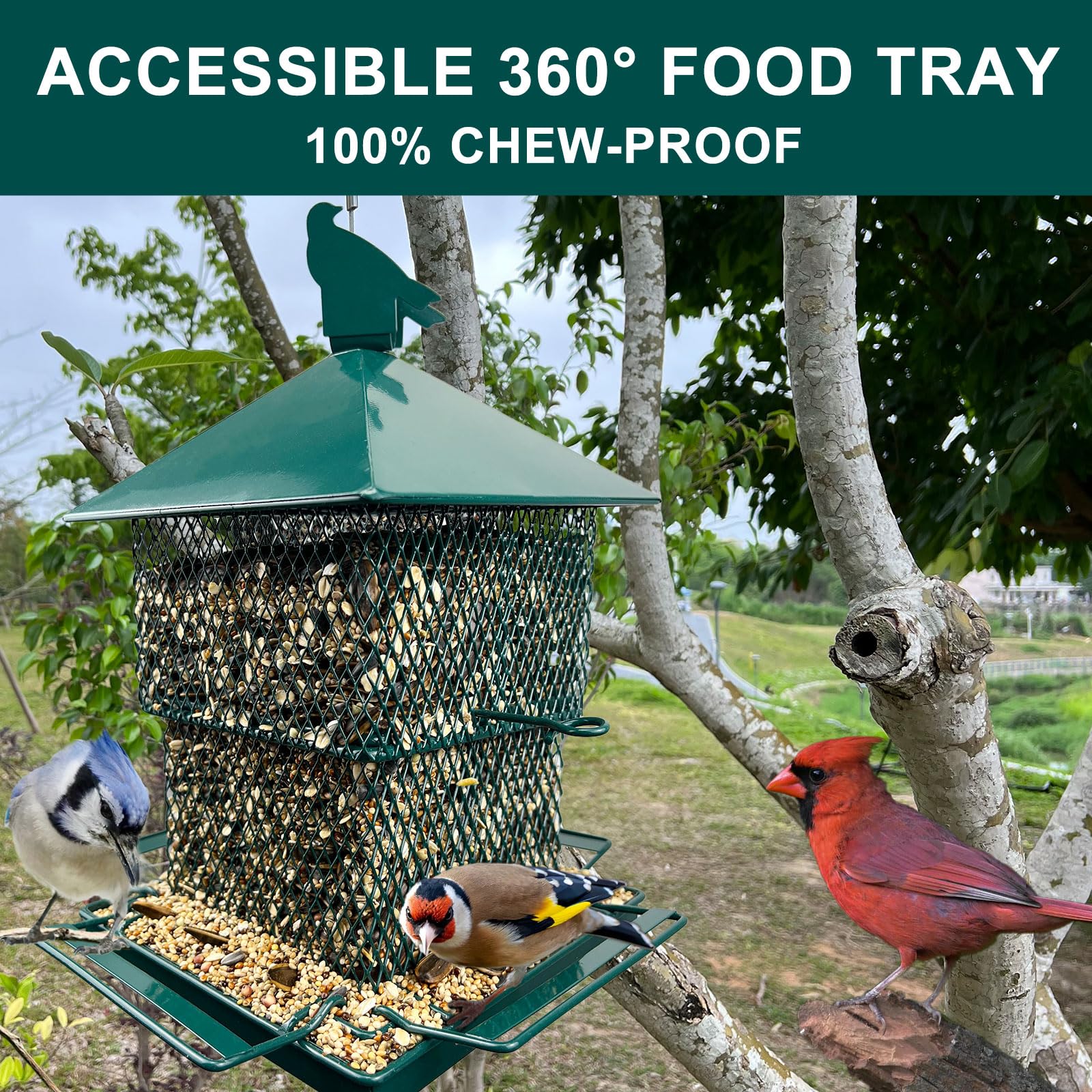 FUNWILDLIFE close-up of extendable perches allows multiple birds to feed
